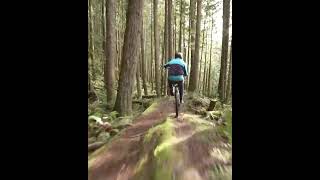 This felt like riding in a dream!