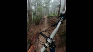 POV DOWN PINGU