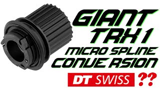 HOW TO SRAM XD rear freehub to Shimano...