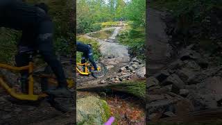 The Wood was Moist