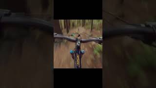 MTB: roll roll roll roll 