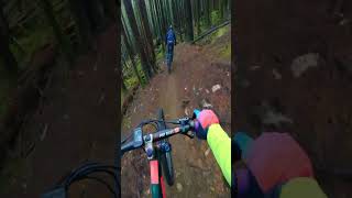 The Best Designed Trail Ever