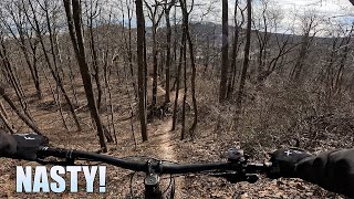 Birdsboro PA MTB Trails Are Superb
