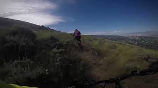 V climb Tall grass