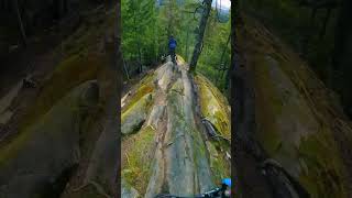 Nature is the Best Trail Builder