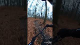 W stronę wiosny! #laswolski #enduromtb #mtb...