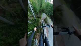 Making Pro Lines look easy! #mountainbiking...