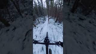 SNOW Day!