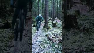 Handlebars Meet TREE!