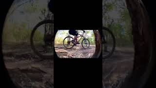 Bringing back the fisheye! #shortvideo #shorts...