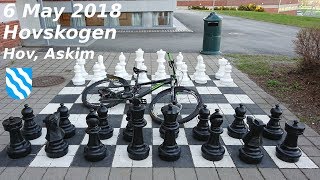6 may 2018 Ended up on a chess board