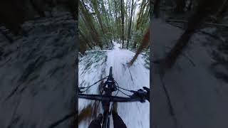 More Snow!!