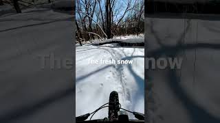 Fat biking in some deep fresh Minnesota snow....