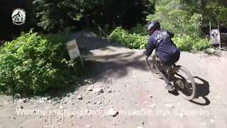 EZ Does It | An Afternoon in Whistler