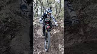 Font Blanche/Massalia/Freewheel