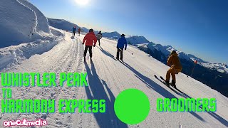 Groomers So Good You'll Wish You Were There -...