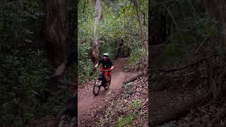 Flicking the tail #shortvideo #short #shorts...