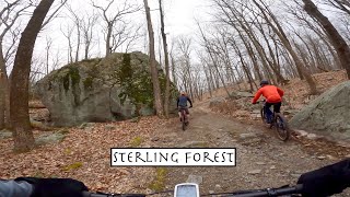 Sterling Forest Tuxedo, NY Feb 20, 2023