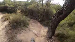 Pov: Enduline Rocallaura