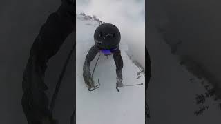 Inbounds Avalanche at Whistler. Yep they do...