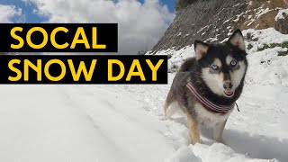Snow Day in Orange County  CA - Saddleback...