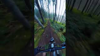 Fast Loamy Goosness!! #gopro #mtb #shorts