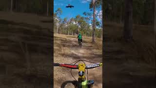 When birds attack! #shorts #short #ytshorts...