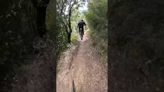 A cannone sul Monte Arsenti