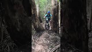 Between two trees! #ytshorts #shorts #short...