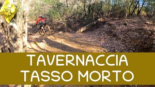 MTB Roveta 04.032023 sentiero TAVERNACCIA /...
