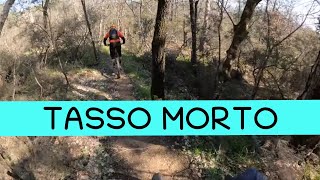 MTB Roveta 04.03.2023 sentiero TASSO MORTO /...
