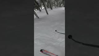 Steepest ski run on grouse, peak glades...