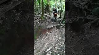 Rob riding a section on Tihi o Tawa