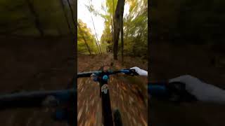 Nuking through the trees  #mountainbike #mtb