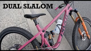 GLENDHU DUAL SLALOM + pivot shadowcat