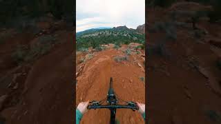 I ALMOST DIED!