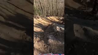 Riding with sheep 