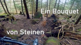 Let's Ride MTB - Heidelberg // Königstuhl -...