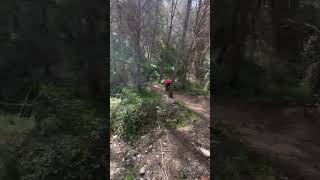 I broke my wheel on this drop  #mtb...