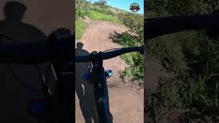 MTB Riding | This Trail Gives Me Wood | Feb...