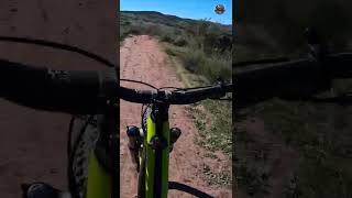 MTB Action 4K | Need For Speed #Shorts #mtb...
