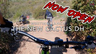 MTB Riding The New Cactus at Whiting Ranch,...