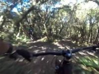 fat bike fun