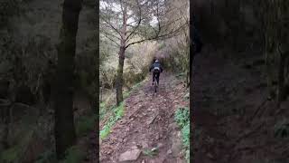 not easy climb #shorts #mtb #bike #ebike...
