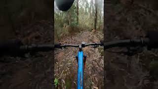 One of my favorite Trails #shorts #mtb #bike...