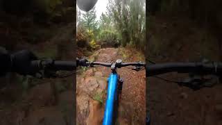Last Ride Of the Year #shorts #mtb #bike...