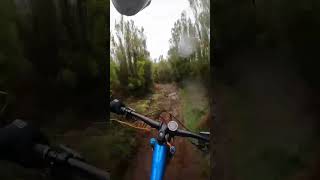 Riding After BIG STORM #shorts #bike #mtb...