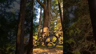 what is this place? #shorts #mtb #bike...