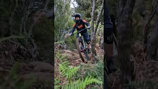 Great Weekend with Shuttle Service MTB #shorts...
