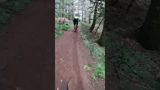 Looking For the perfect Flow #shorts #bike...